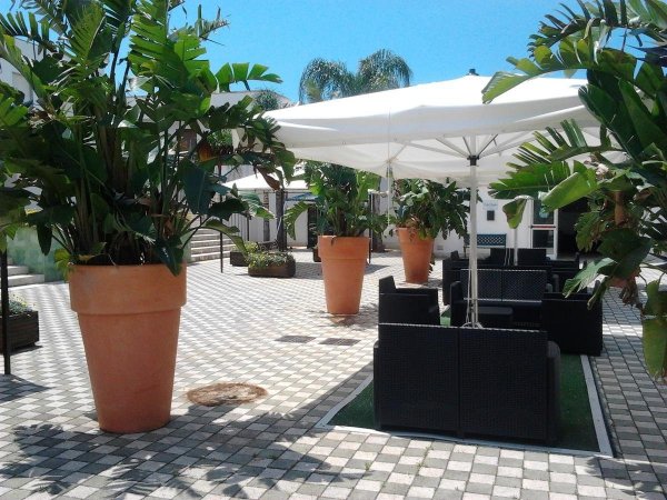 Cortile con pavimento a scacchiera, grandi piante in vasi, ombrellone bianco e sedute.