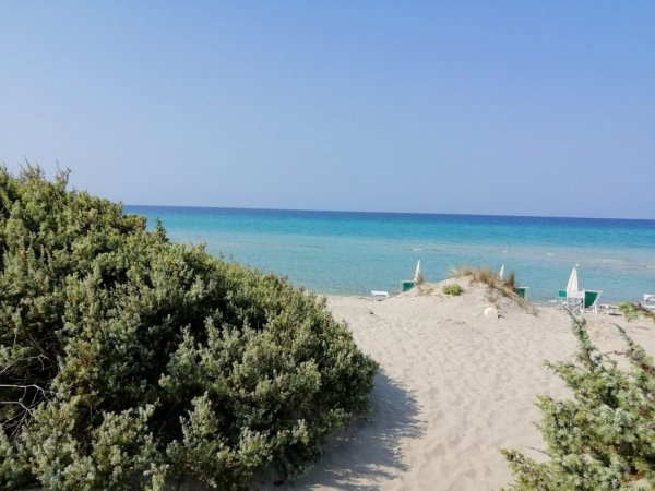 Spiaggia con sabbia chiara, mare turchese e ombrelloni bianchi. Vegetazione verde sulla sinistra.