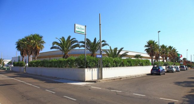 Un edificio circondato da palme e vegetazione su una strada soleggiata.