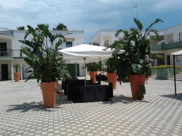 Cortile piastrellato con ombrellone bianco, piante in vasi grandi e arredamento da esterno.