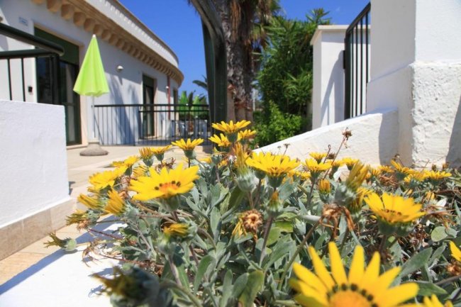 Fiori gialli su un'aiuola vicino a edifici bianchi e un ombrellone verde.