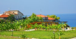 Case con tetti rossi vicino al mare, circondate da banani e prati verdi.