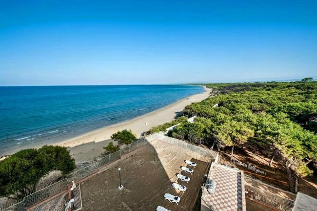 Vista aerea di una spiaggia sabbiosa con mare calmo e una pineta.
