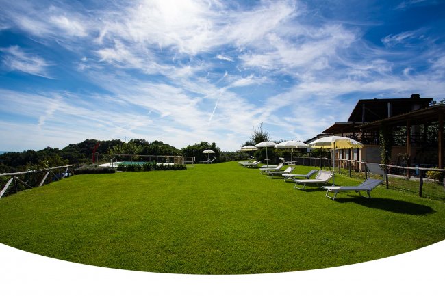 Prato verde con sdraio e ombrelloni sotto un cielo azzurro.
