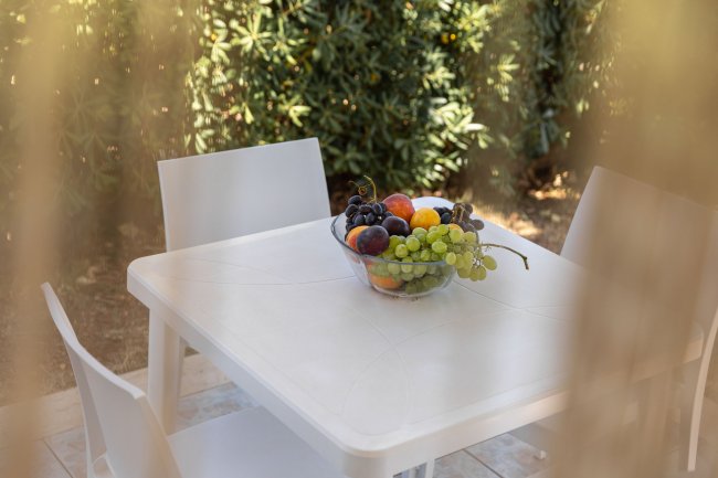 Tavolo da esterno con frutta.