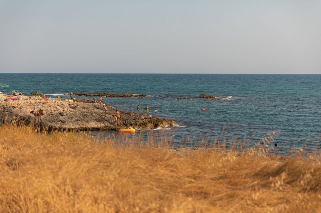 Mare e scogli con erba dorata in primo piano.