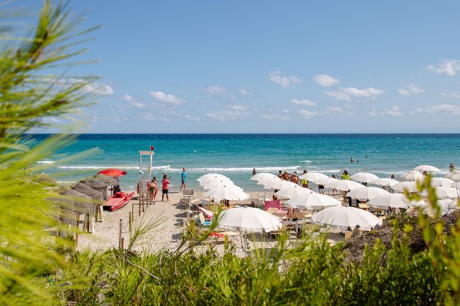 Spiaggia con ombrelloni bianchi, persone in riva al mare e vegetazione verde in primo piano.