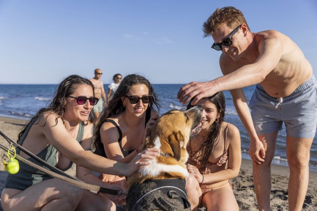 Gruppo di persone accarezza un cane sulla spiaggia.