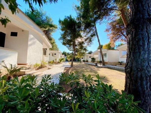 Vialetto alberato con case bianche su entrambi i lati.