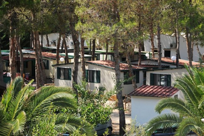 Bungalow tra gli alberi verdi.