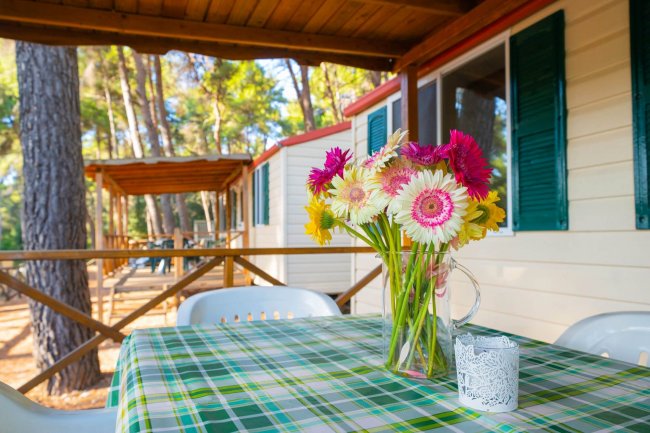 Tavolo con fiori su veranda vicino a una struttura.