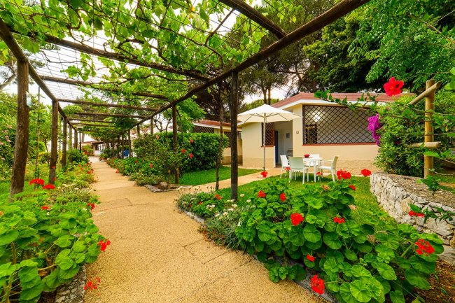 Sentiero con pergolato e fiori colorati.