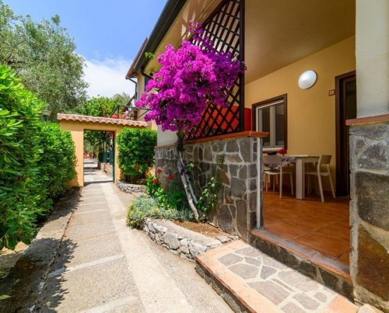 Ingresso con viale, fiori viola e veranda.