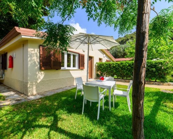 Tavolo da giardino con ombrellone su prato.