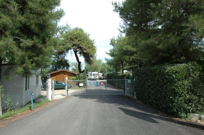 Cancello d'ingresso con vialetto alberato.