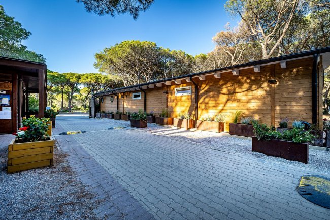 Strada lastricata tra edifici in legno e alberi.