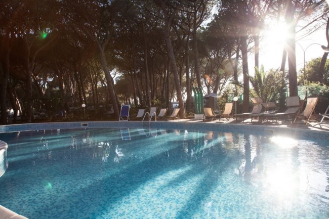 Piscina all'aperto circondata da alberi e lettini.