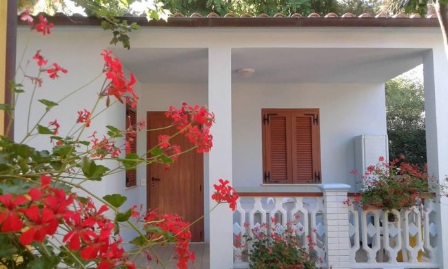 Casetta bianca con gerani rossi in primo piano.