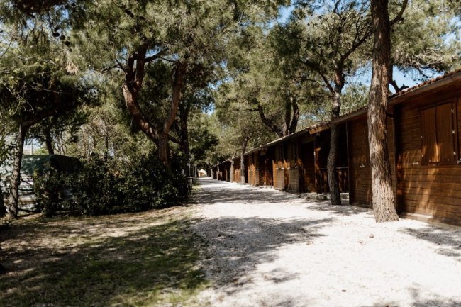 Un vialetto con casette di legno ai lati, circondato da alberi.